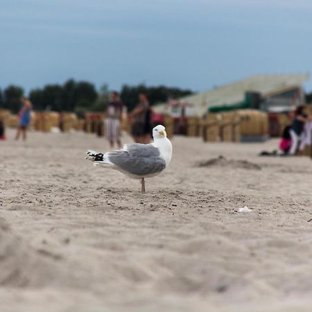 Ferienwohnungen-Neue-Tiefe-Wohnung-Kleiderbuegel Neue Tiefe Fehmarn Экстерьер фото
